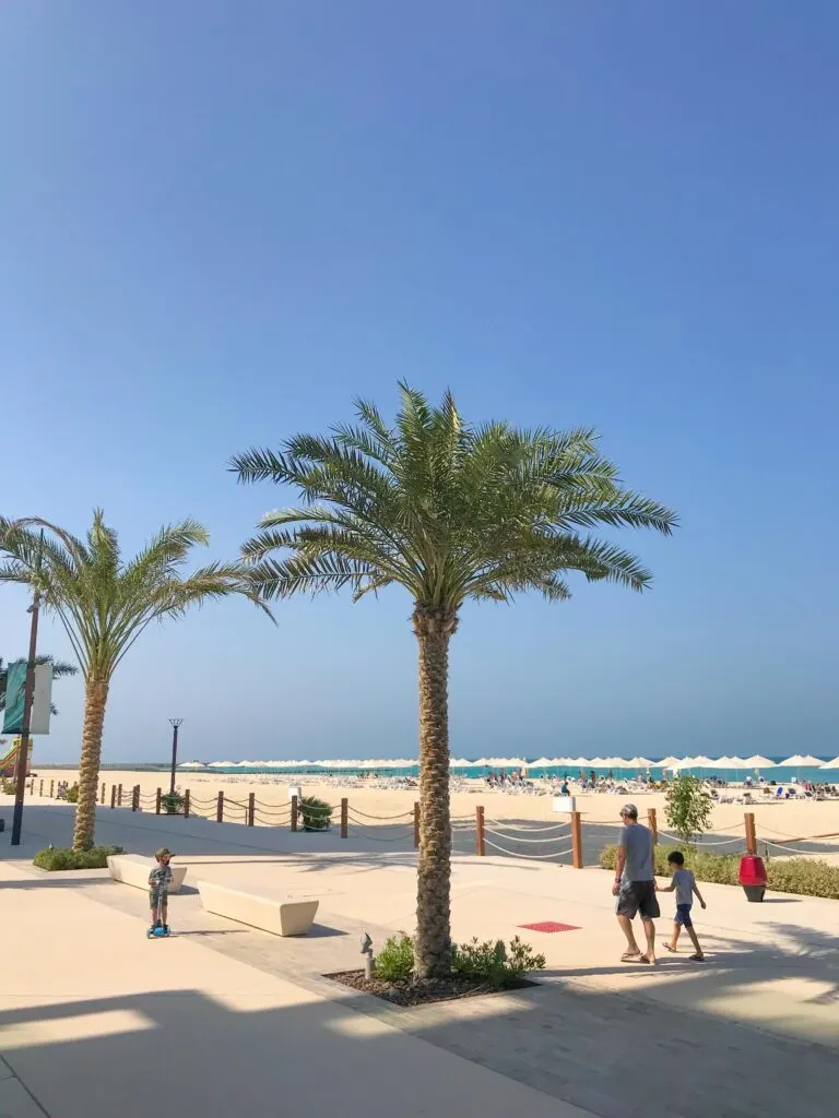 things to do in abu dhabi