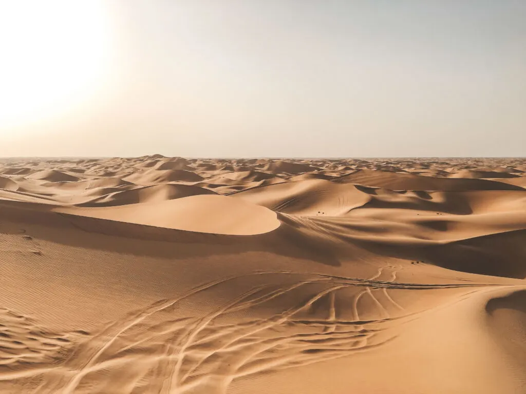 Abu Dhabi Desert Safari