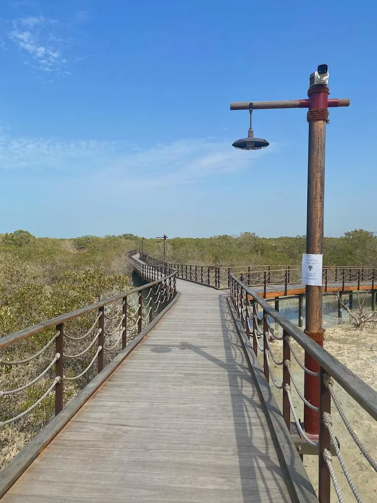 Jubail Mangrove Park, Abu Dhabi