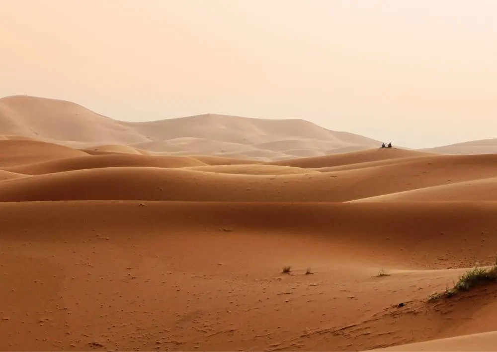 Desert driving course Abu Dhabi