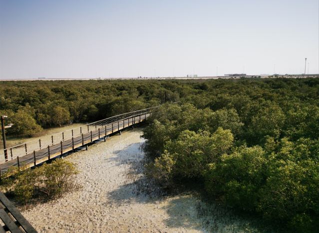 hiking trails in the UAE