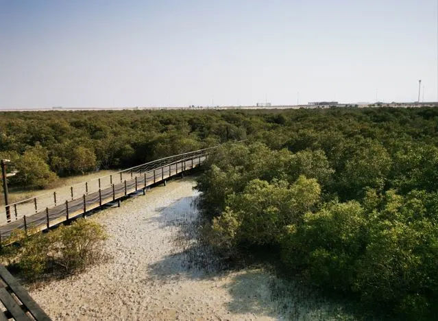 hiking trails in the UAE
