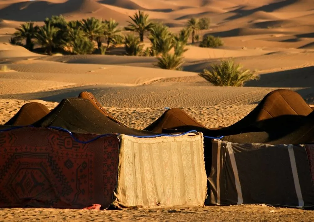 best camping spots in uae