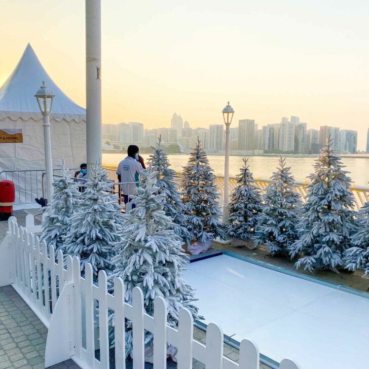 9 Top Places To Buy Christmas Trees In Abu Dhabi