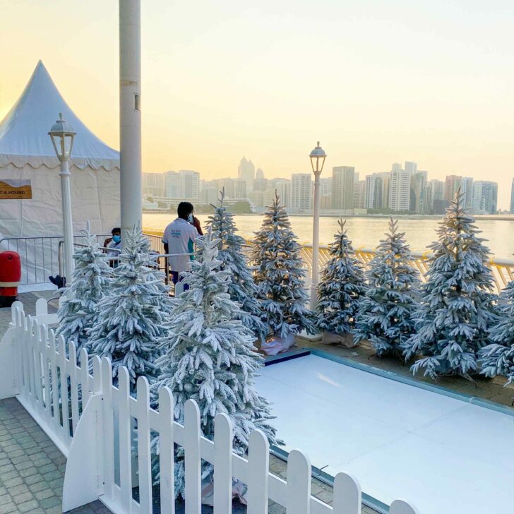 christmas trees in abu dhabi