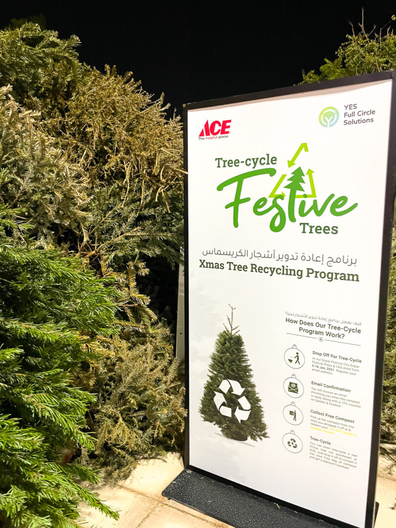 The Best Places To Buy Christmas Trees In Abu Dhabi 2024