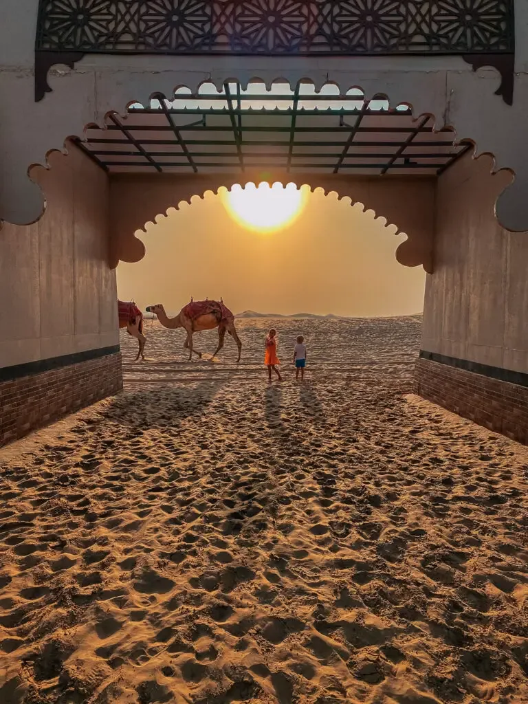 desert safari at abu dhabi