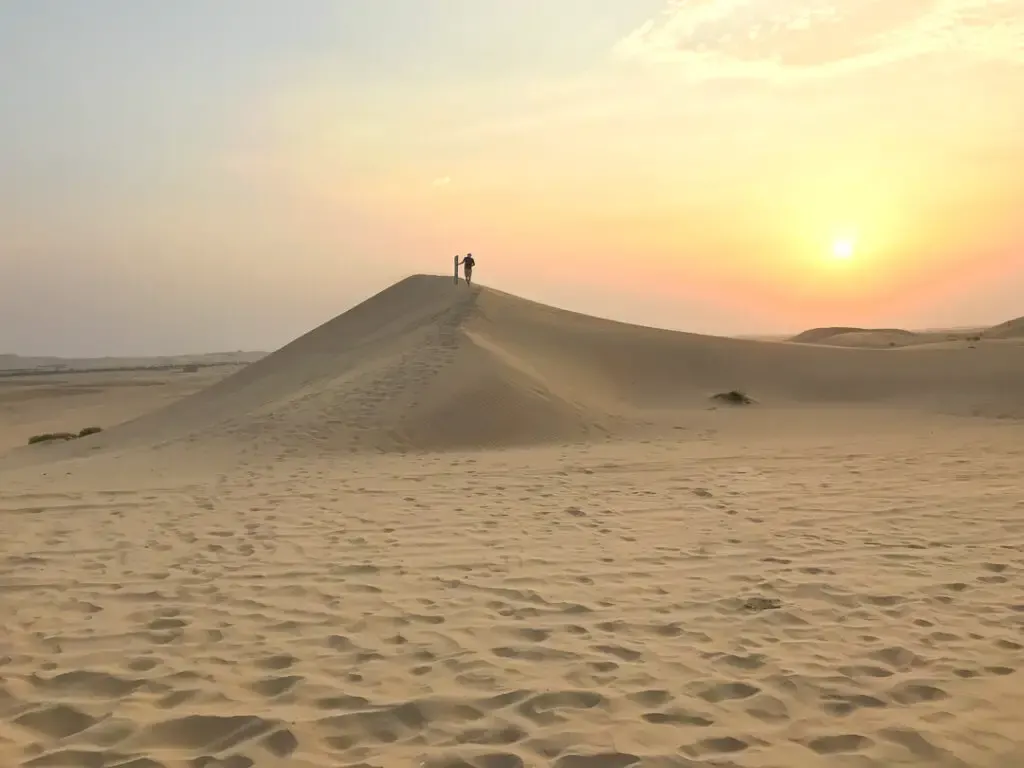 desert safari offers abu dhabi