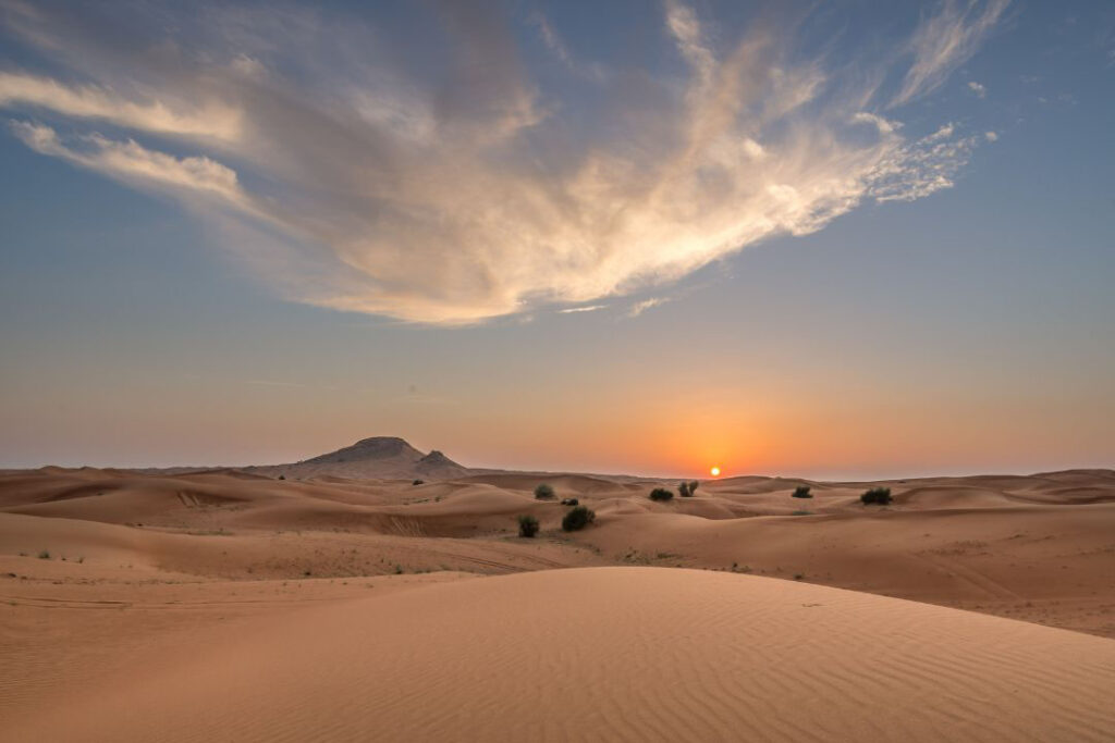 desert safari abu dhabi deals