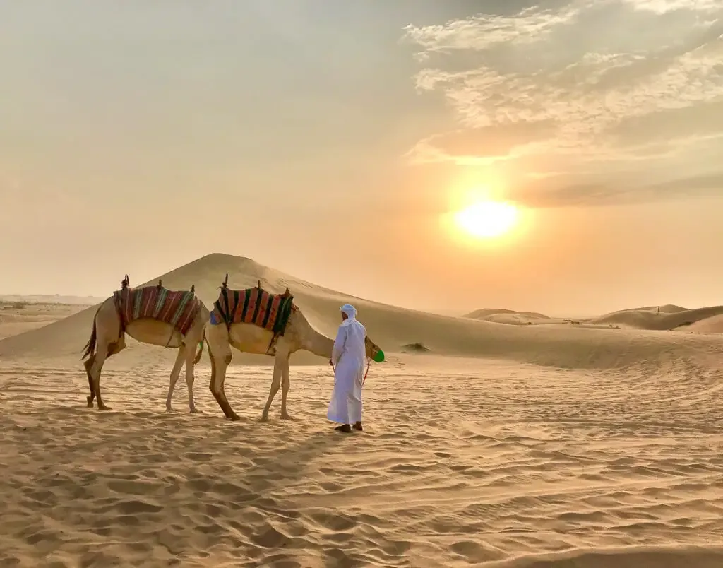 desert safari offers in abu dhabi