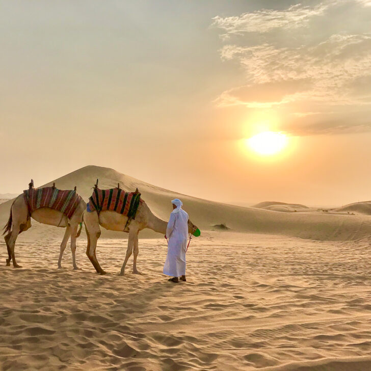 The Best Desert Safari In Abu Dhabi 2023