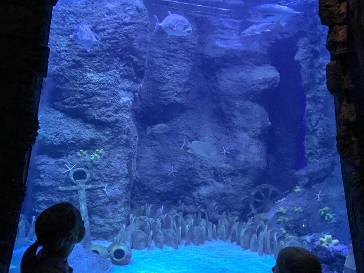 indoor activities in abu dhabi