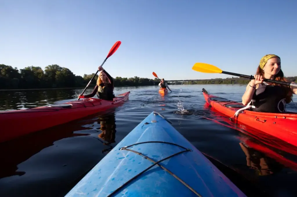 kayaking eastern mangroves abu dhabi