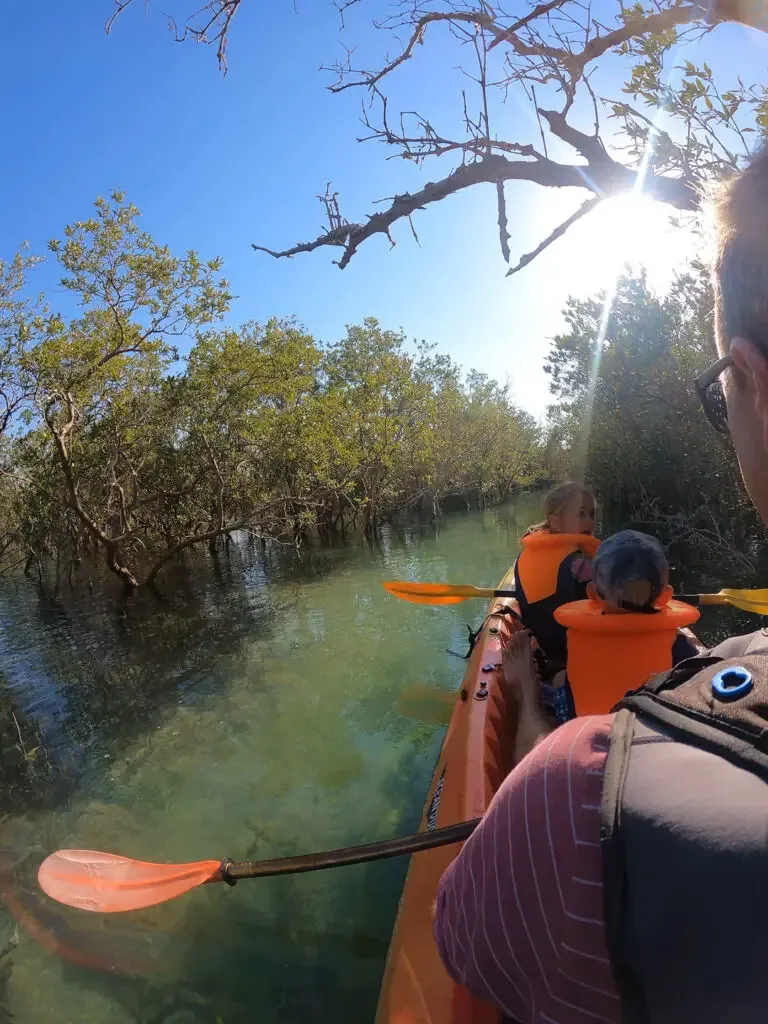 kayaking mangroves abu dhabi
