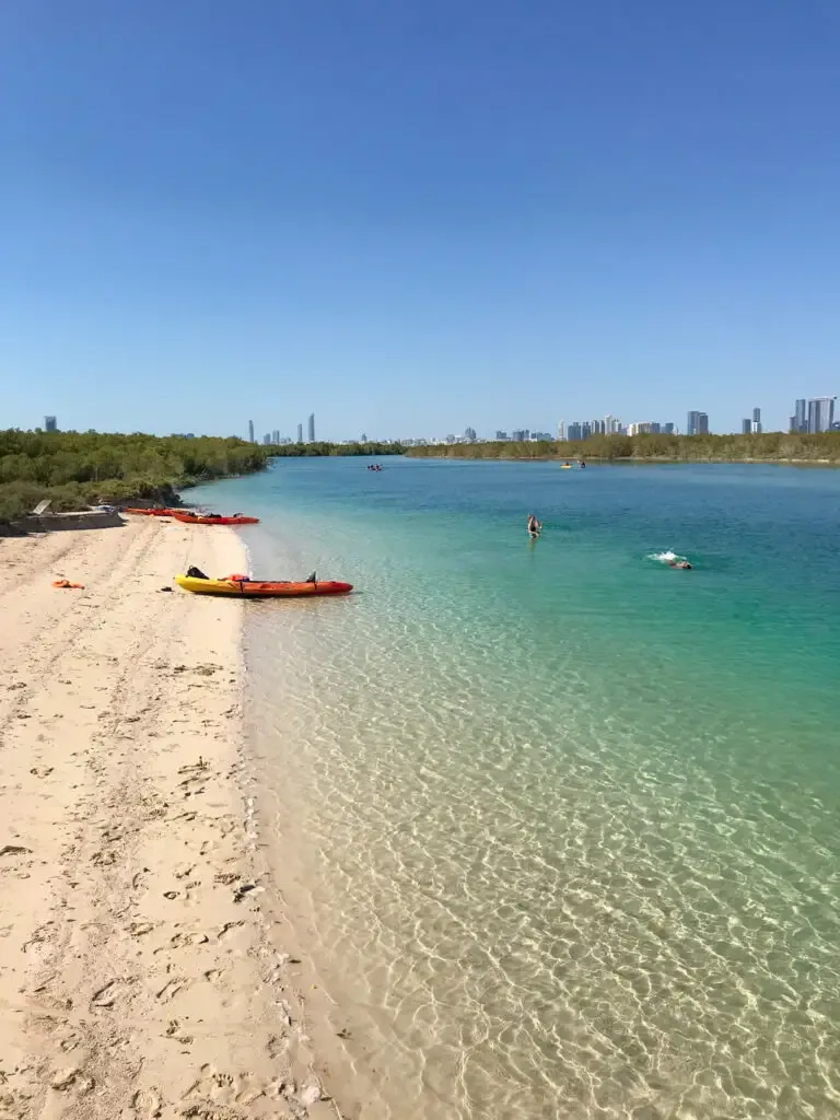 kayaking in the mangroves abu dhabi