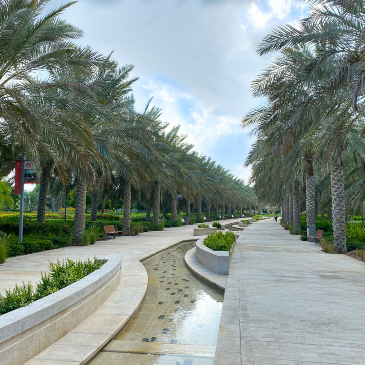 The Best Parks In Abu Dhabi
