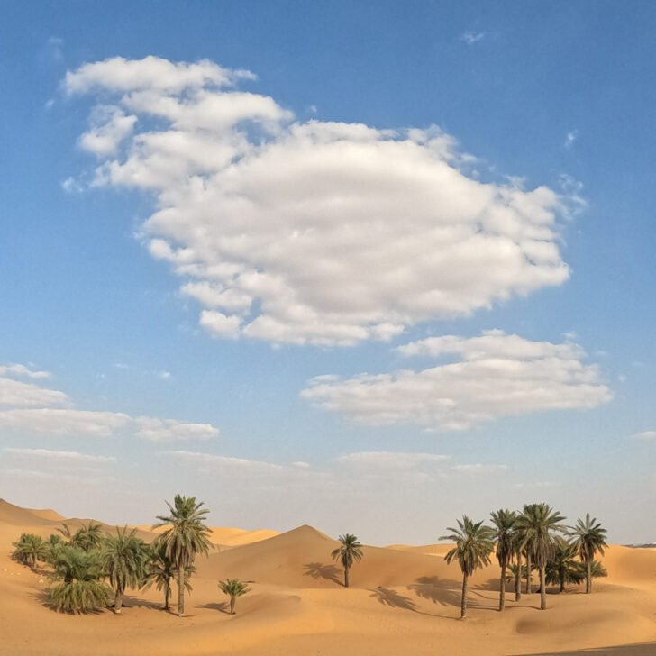 Events & Weather In Abu Dhabi In June