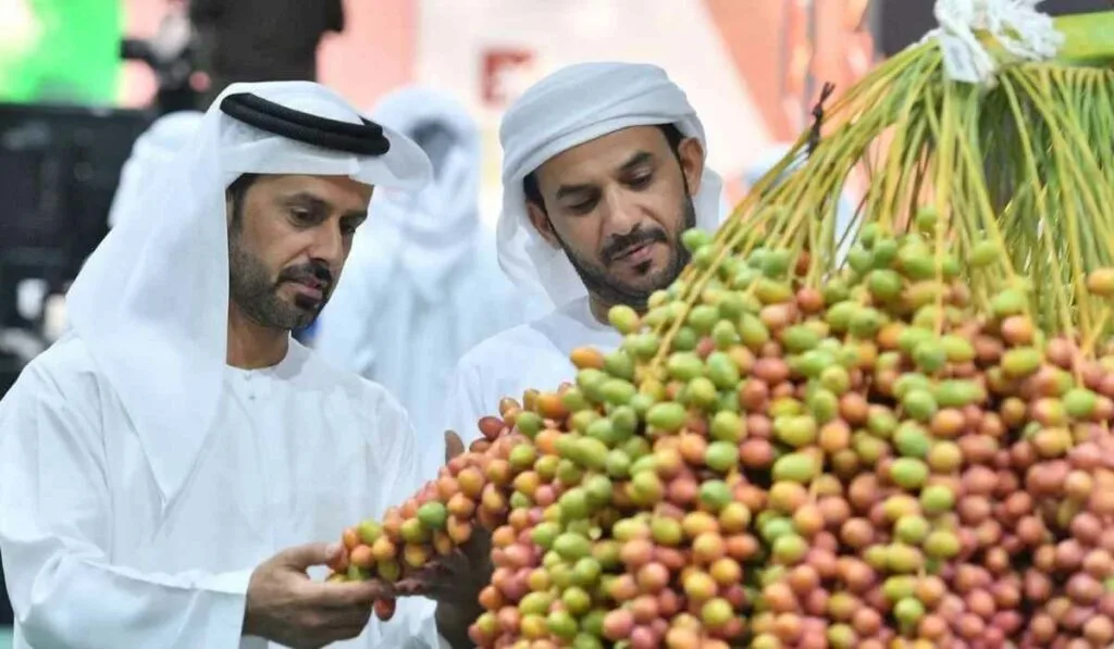 Liwa date festival July events in Abu Dhabi