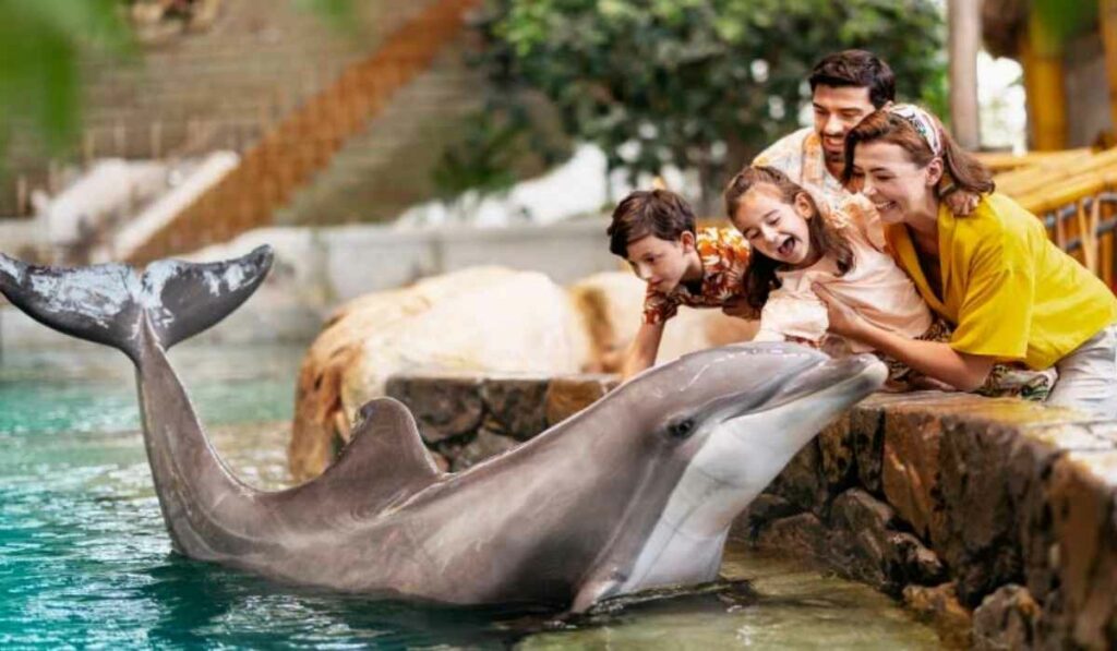 seaworld Abu Dhabi