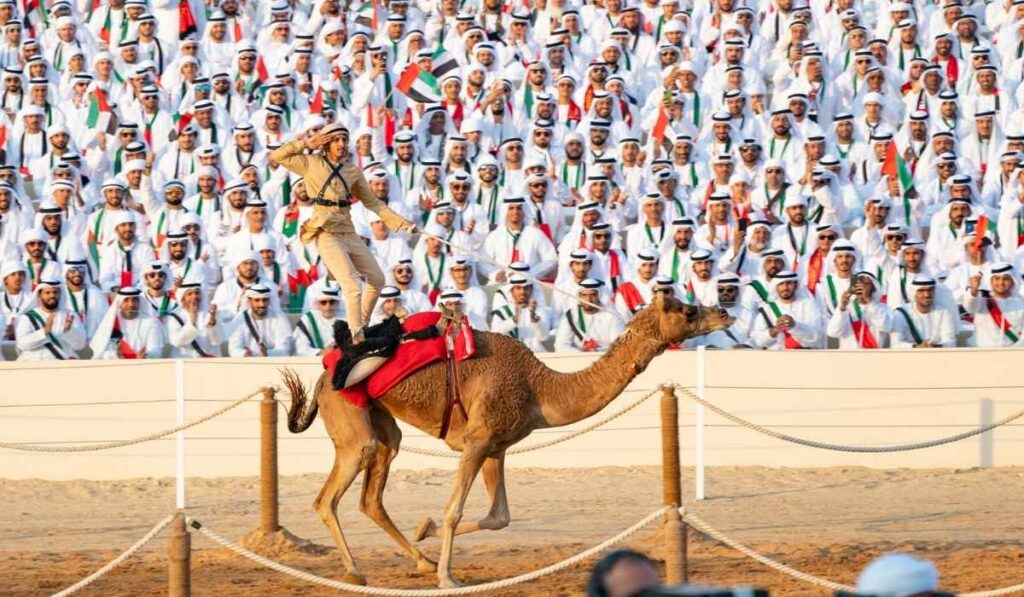 Sheikh Zayed Festival in Abu Dhabi