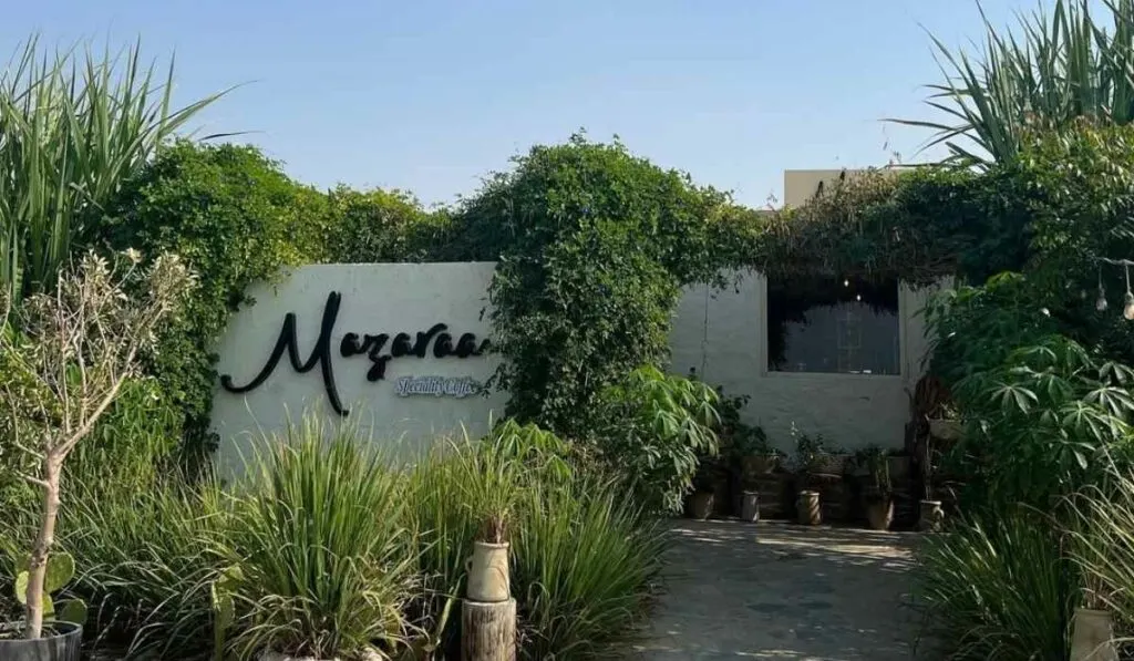 farm to table menus mazaraa