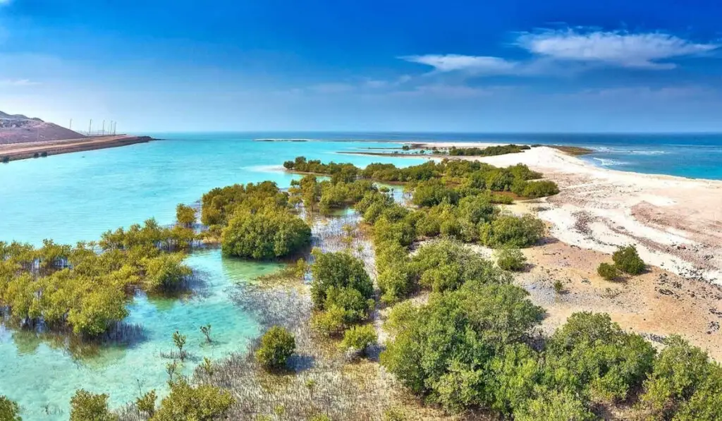 Dalma island