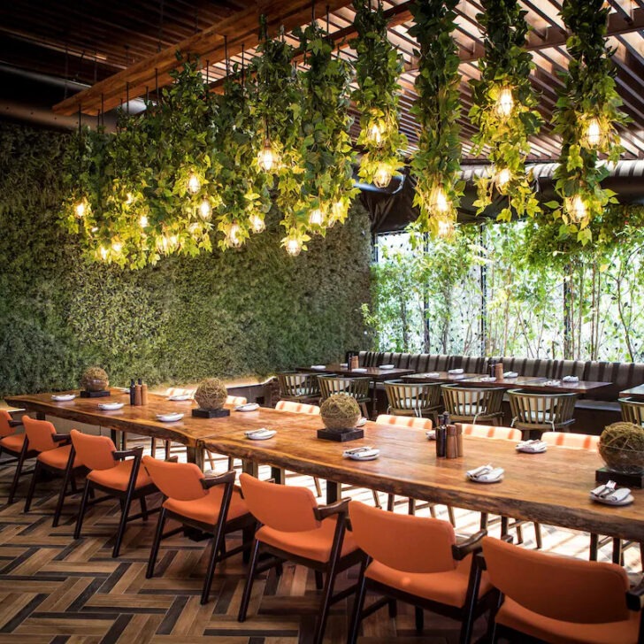 Saturday brunches in Abu Dhabi?