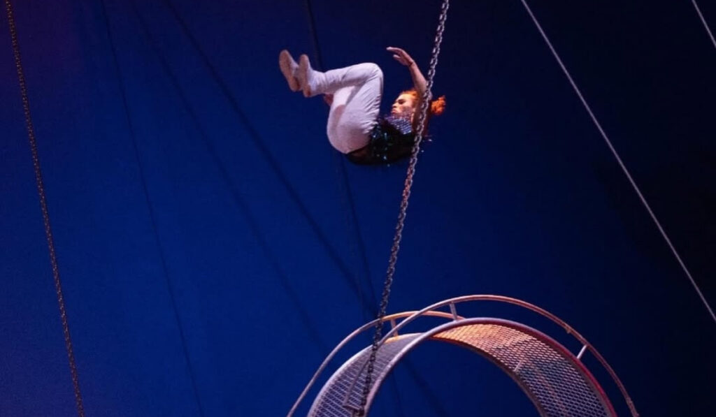 November Events in Abu Dhabi