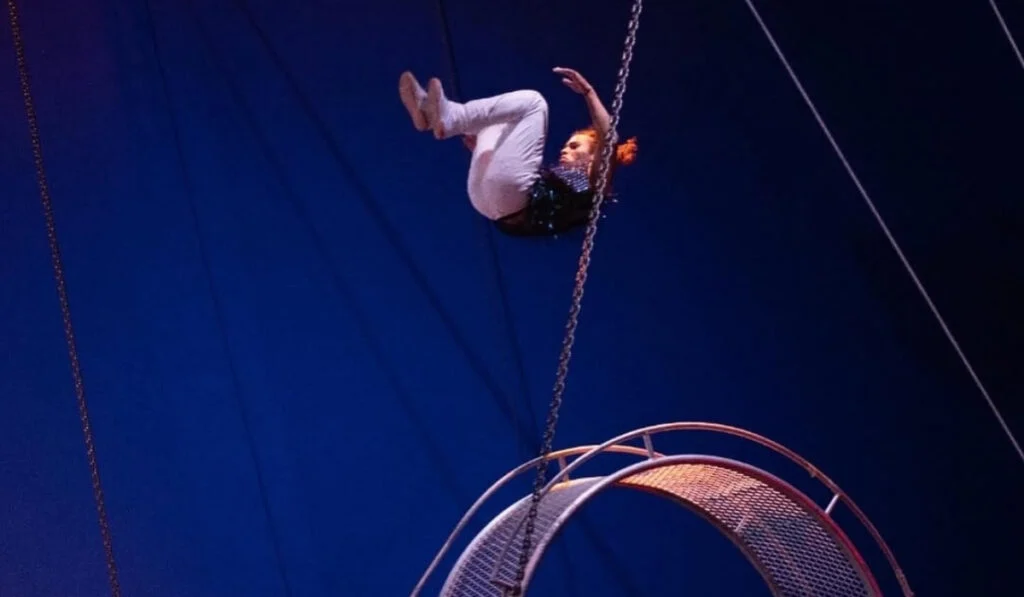 November Events in Abu Dhabi