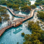 Walking routes in Abu Dhabi