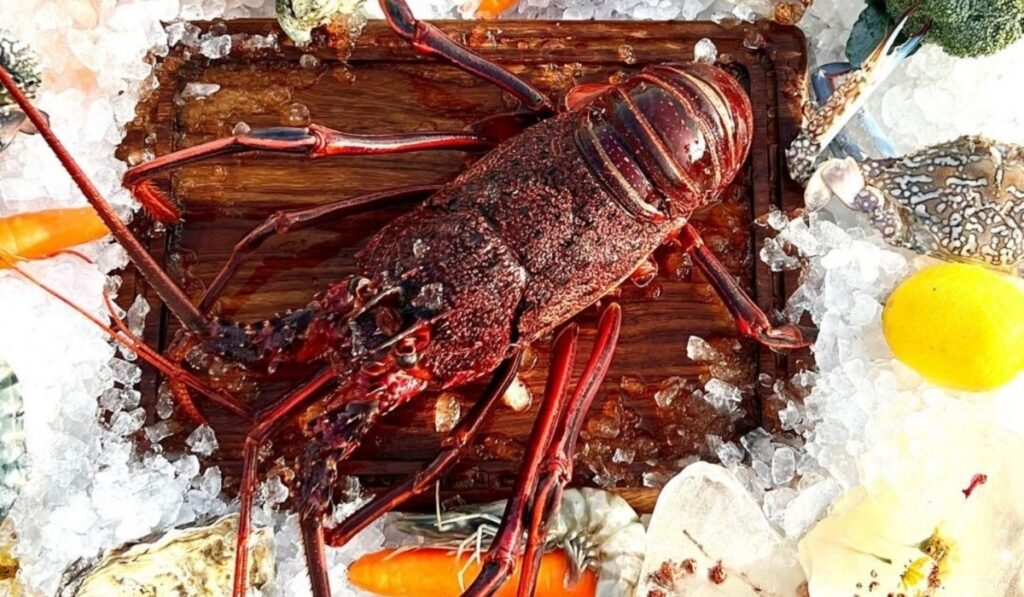 Christmas in abu Dhabi