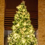 Why you need to spend the festive season at VOGO Abu Dhabi Golf Resort