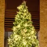 Why you need to spend the festive season at VOGO Abu Dhabi Golf Resort