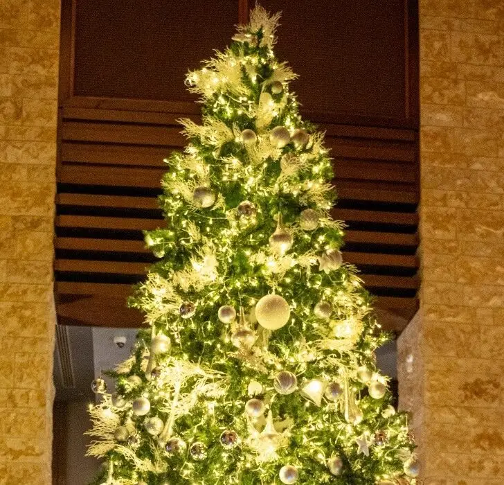 Why you need to spend the festive season at VOGO Abu Dhabi Golf Resort