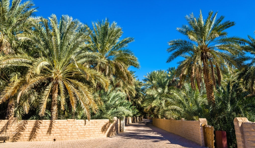 Al Ain Capital of Arab Tourism