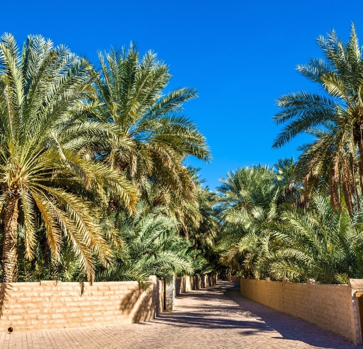 Al Ain Capital of Arab Tourism
