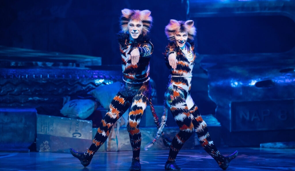 Cats the musical