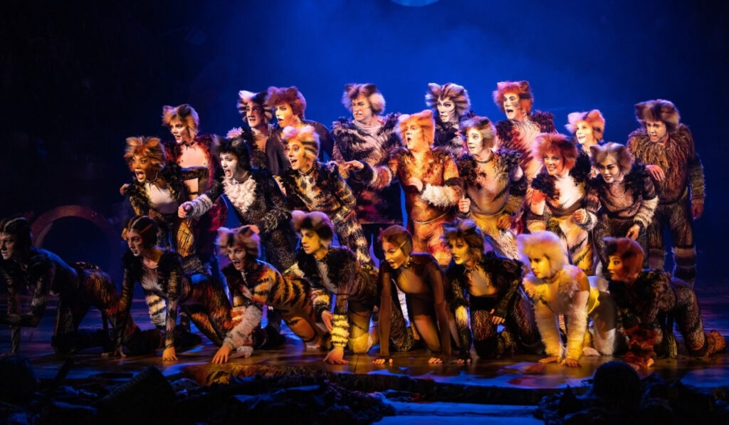 Cats the musical in Abu Dhabi