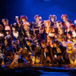 Cats the musical in Abu Dhabi