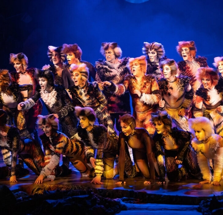 Cats the musical in Abu Dhabi