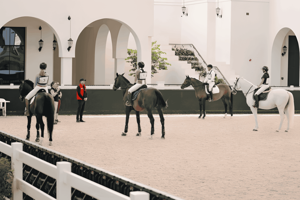 horse riding lessons in abu dhabi