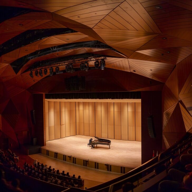 Abu Dhabi Festival music award