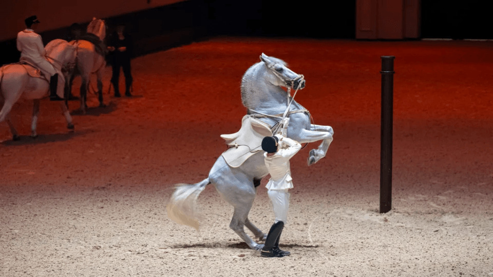 Furusiyya: The Return to Origins event enjoy this weekend in abu dhabi