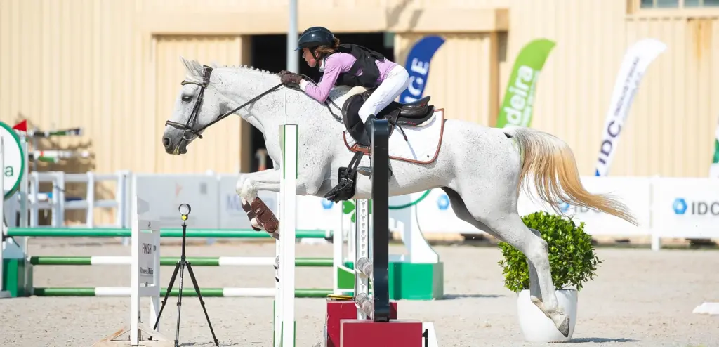 horse riding lessons in abu dhabi at Mandara Equestrian Club