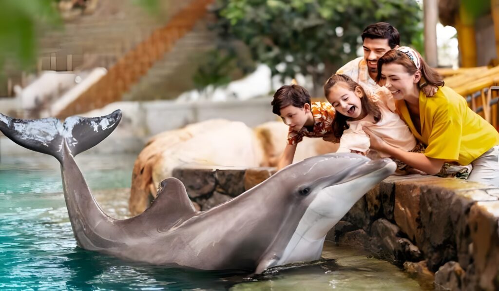 Seaworld Abu Dhabi things to do with kids in Abu Dhabi