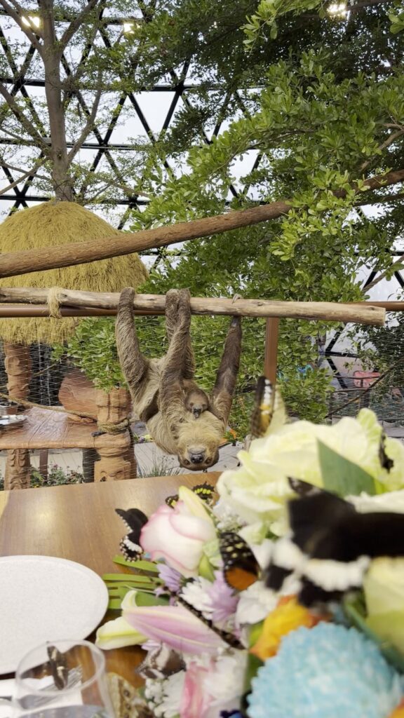 Butterfly Gardens Abu Dhabi