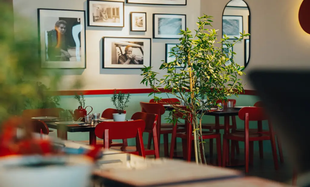 Dining in Al Zeina Abu Dhabi
Antonia Trattoria