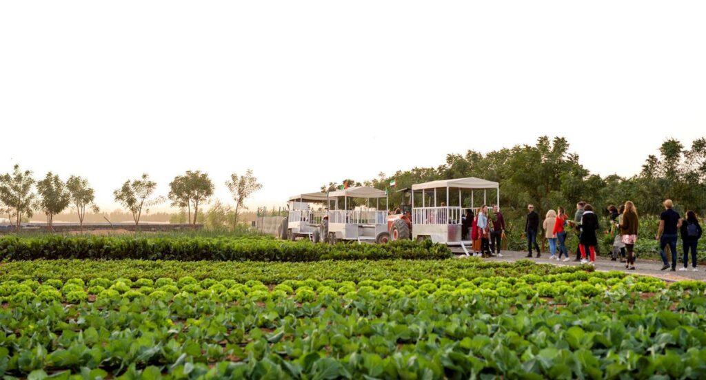 Best Farms in Abu Dhabi to Visit 