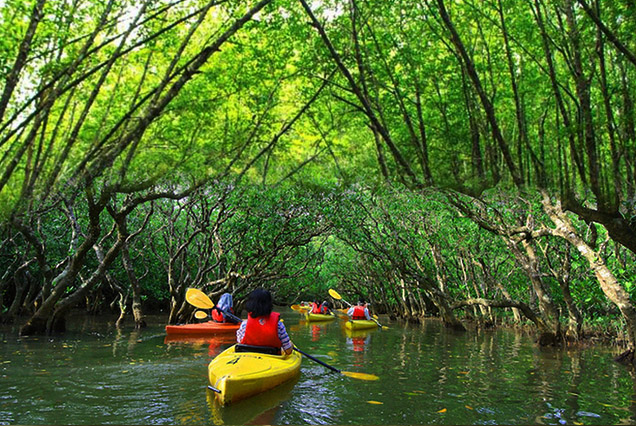 Water Sports in Abu Dhabi