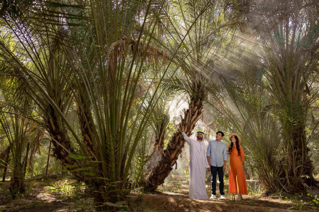 Al Ain Oasis 2